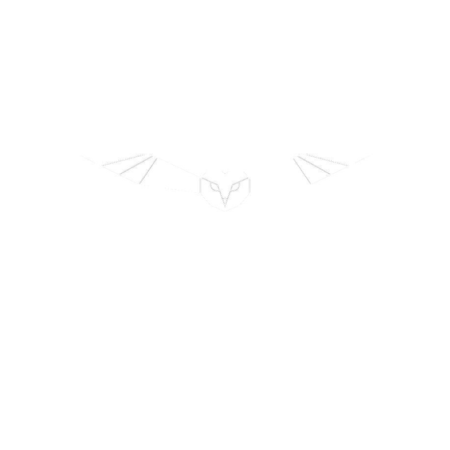 Noctua